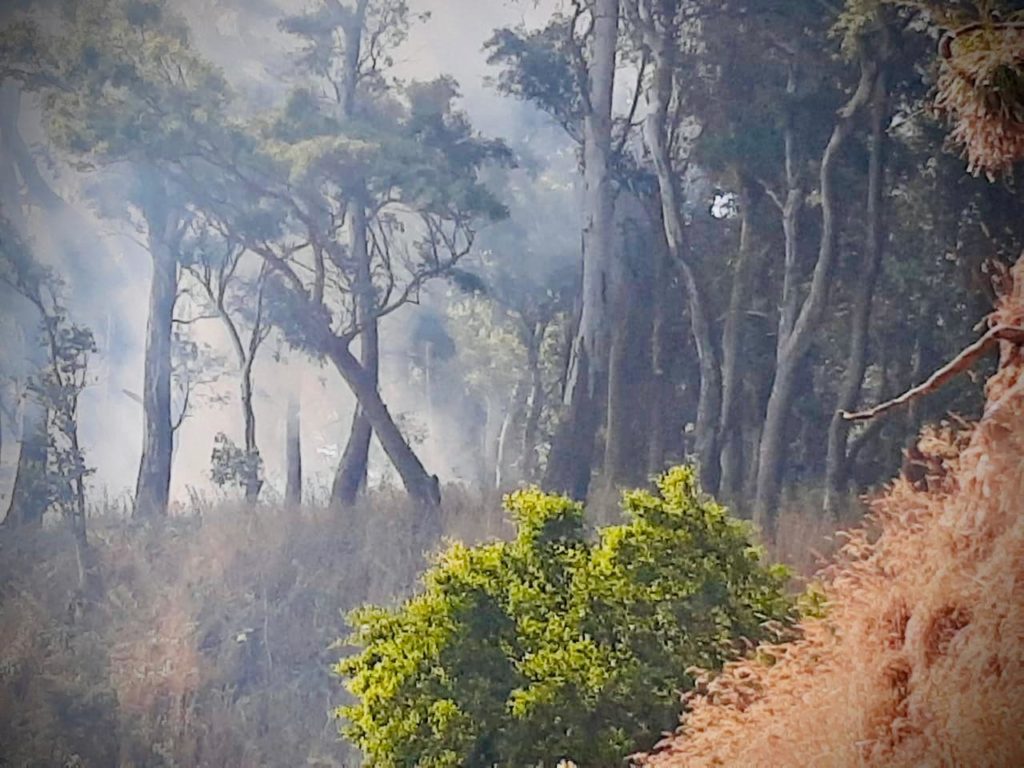 La Municipalidad pide tomar los recaudos necesarios para evitar incendios