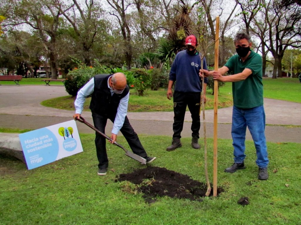 Comenzó la plantación de árboles en el marco del Forestar 2021