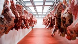 El Gobierno cerró las exportaciones de carne por 30 días