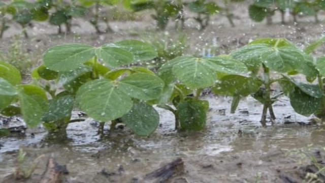 Alerta: La Niña permanecería hasta el segundo trimestre de 2022