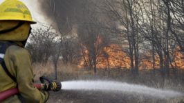 Incendios forestales: declaran la emergencia ígnea en todo el país por un año