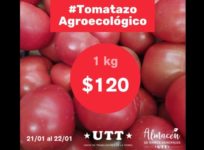 Precio del tomate: la UTT realiza un “tomatazo agroecológico” a 120 pesos el kilo