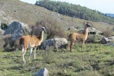 Se revaloriza la Reserva Natural Sierra del Tigre en Tandil