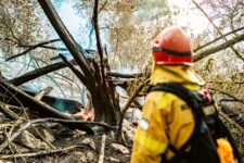 El Municipio advierte sobre la generación de incendios forestales para esta semana