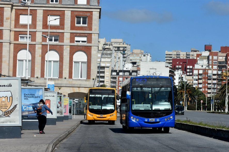 Provincia lanza un subsidio transitorio al transporte, la medida alcanza a General Pueyrredón