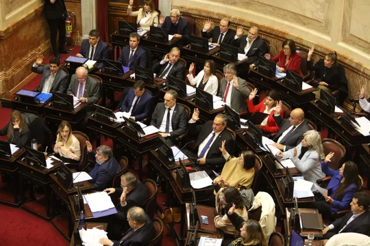 El Senado aprobó en general la Boleta Única de Papel